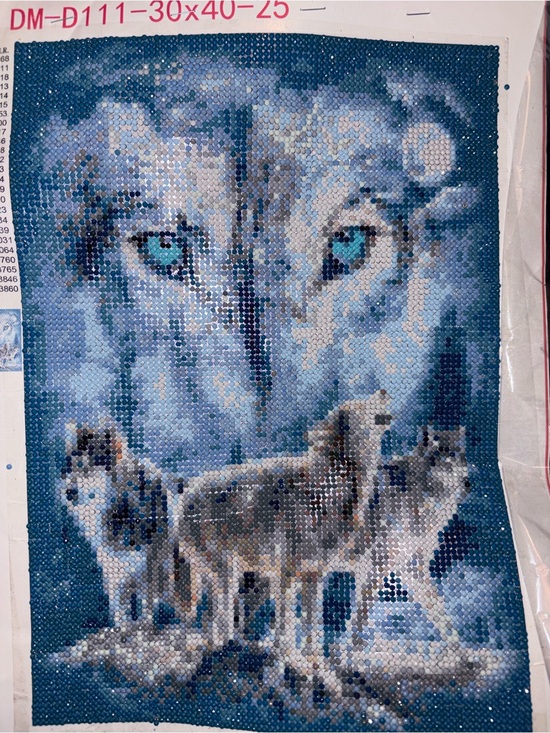 Other - Free 🆓 frozen Wolf Pack Wall Art Canvas